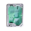 CV_202PNP_White_OH_Greenlight_no jets_2500x2500